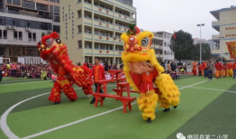 舞狮子表演视频,传承与创新交织的民俗文化展示