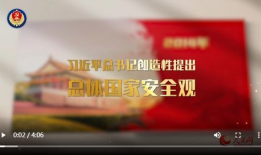 国家安全视频,视频揭示关键领域防控举措